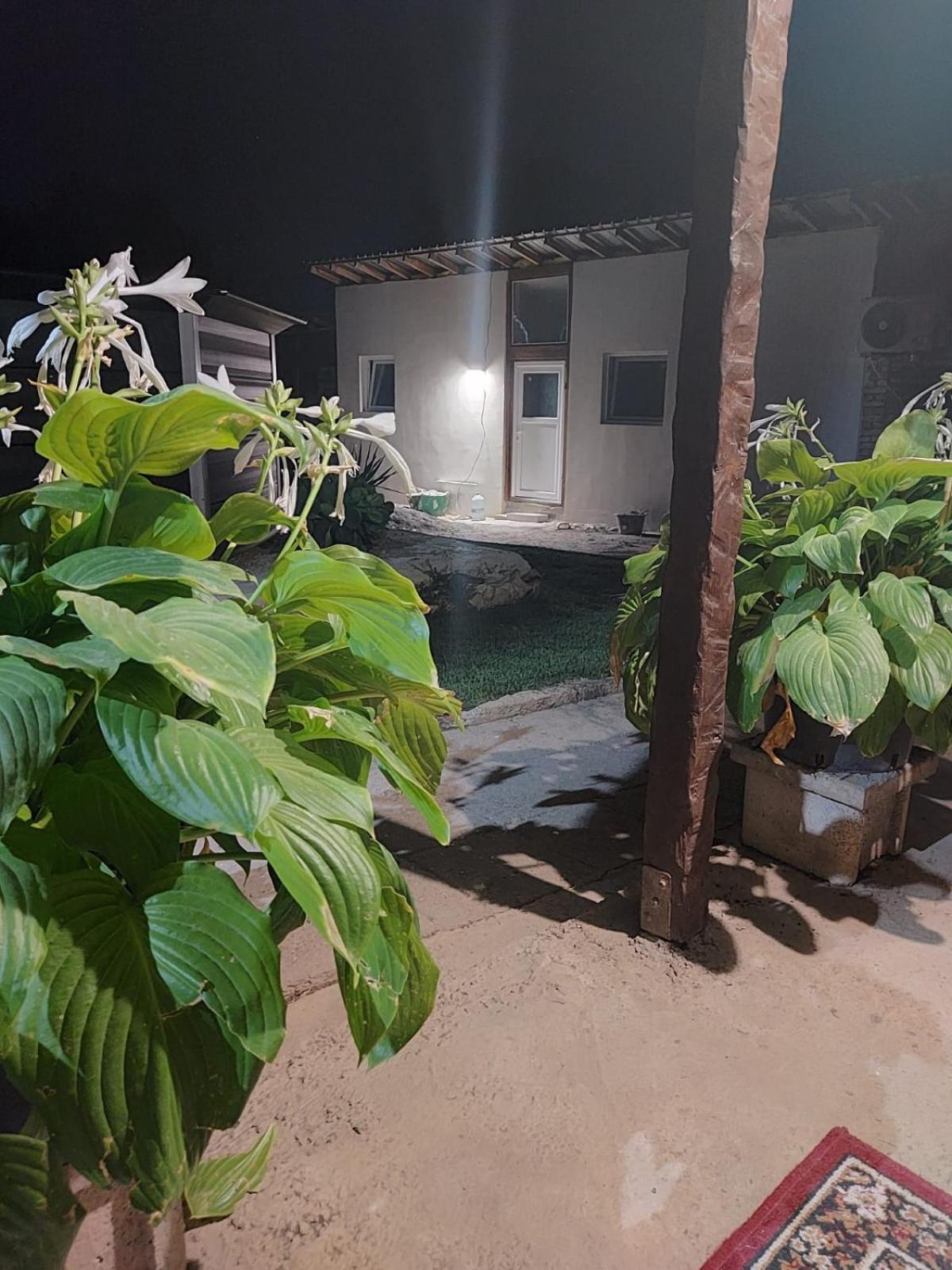 Lymore Guest House Palamarza Exterior photo